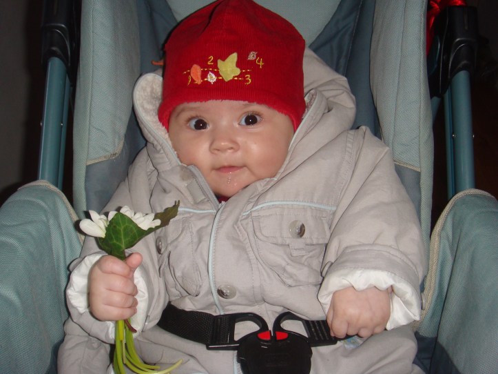 vestitorii-primaverii vestitorii-primaverii