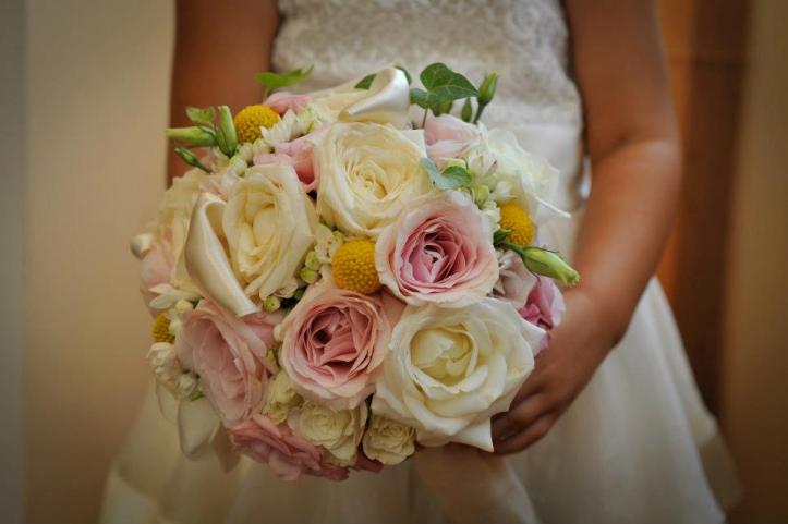 156269_10151068553152616_1563682122_n