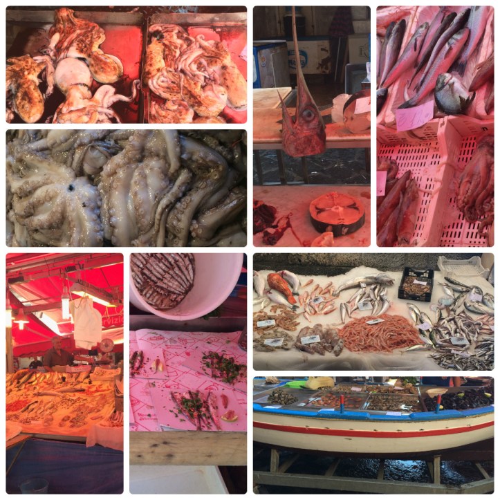 collage_photocat fish