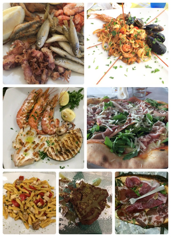 collage_photocat food